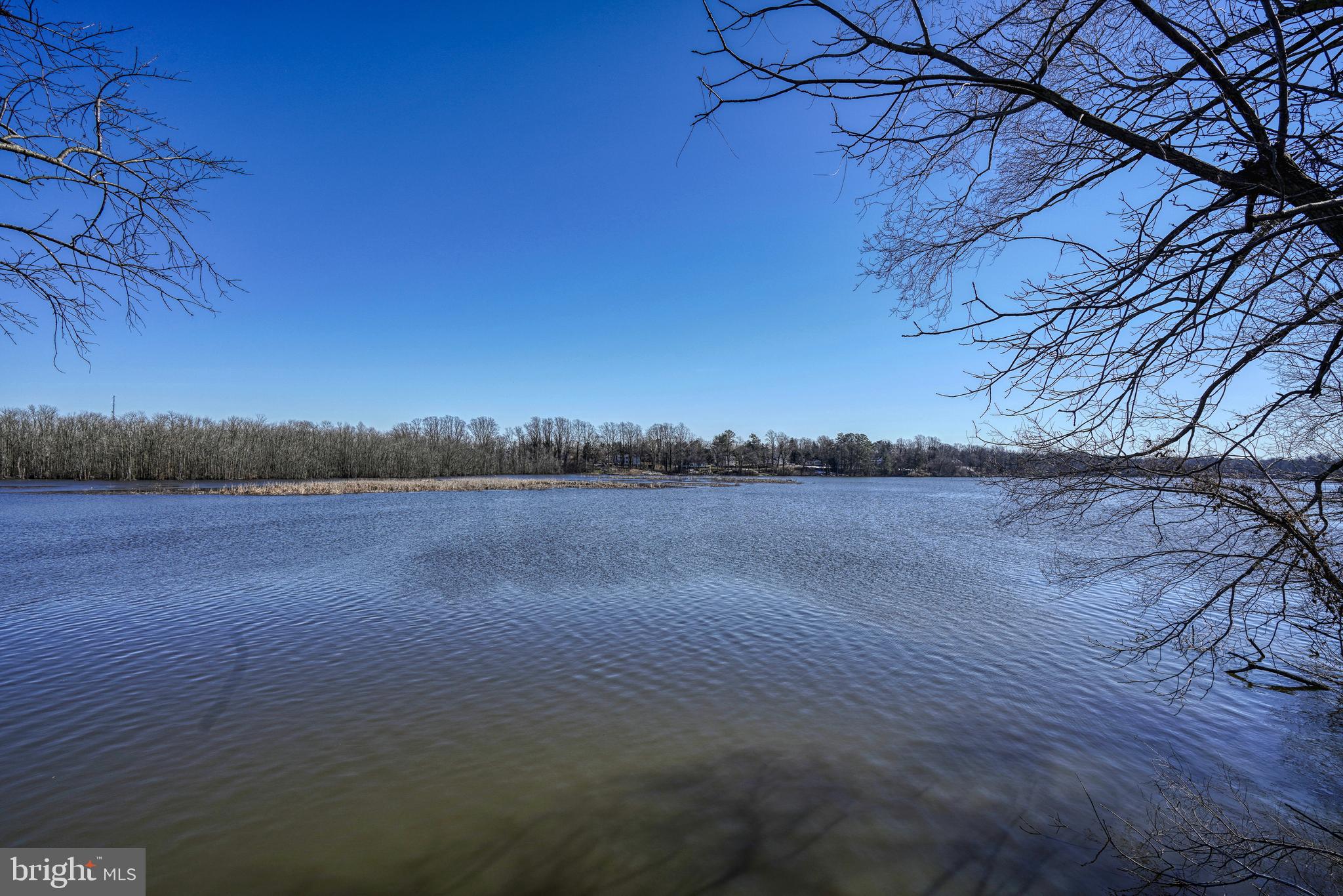 10181 River Landing Road Denton, MD 21629 - Photo 4 of 77 Gallery Image 4