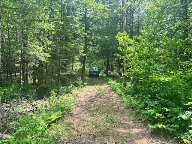 1 West Waldo Road Belfast, ME 04915 - Photo 11 of 13