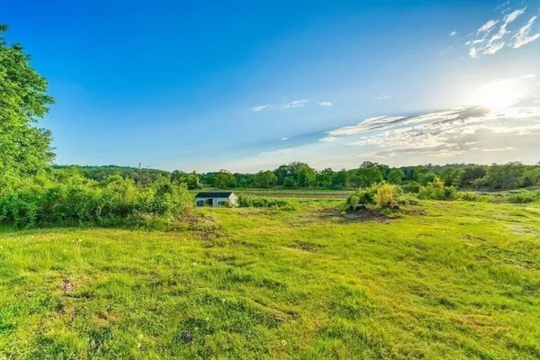 a view of an ocean from a yard
