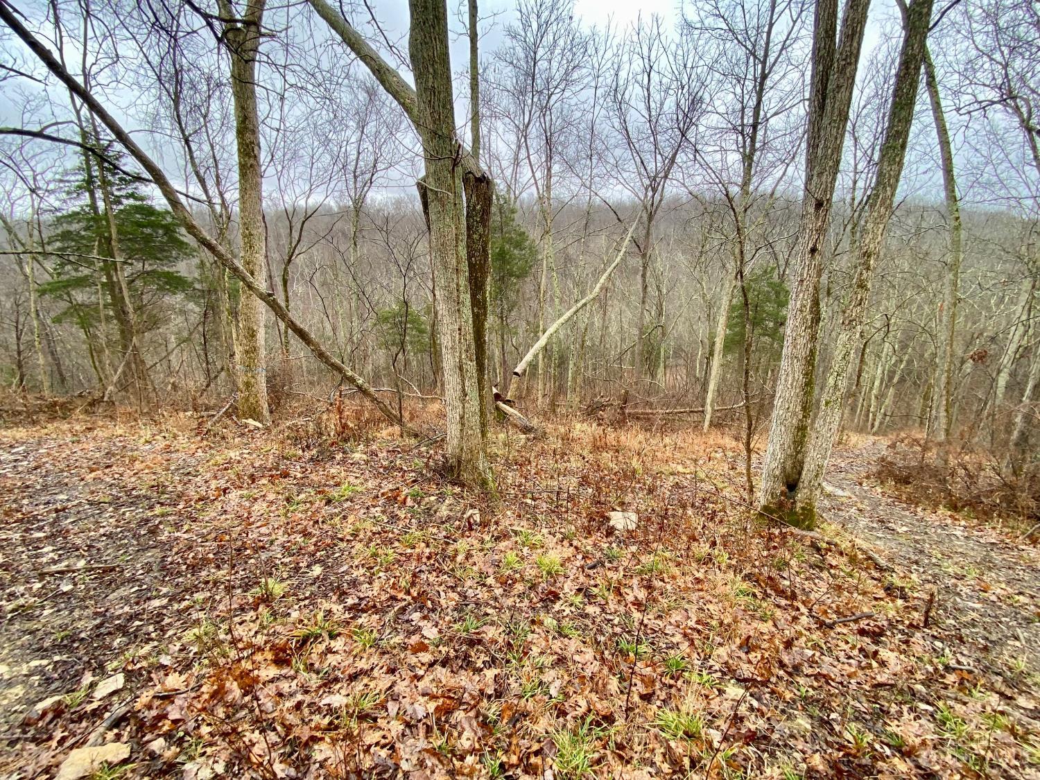 1334 Roush Hill Road Manchester, OH 45144 - Photo 13 of 22