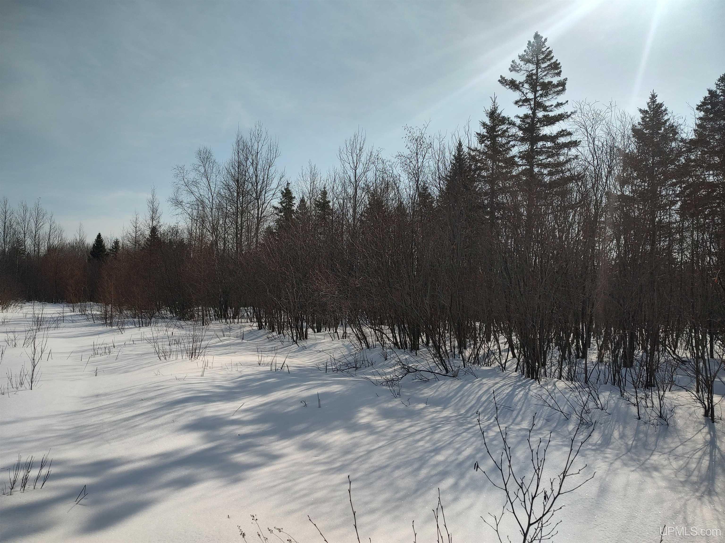 30-acres Parkington Road Gulliver, MI 49840 - Photo 12 of 31
