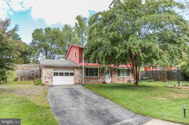 a view of a park with tree s