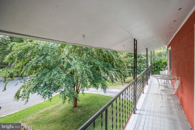 a view of a yard with large trees