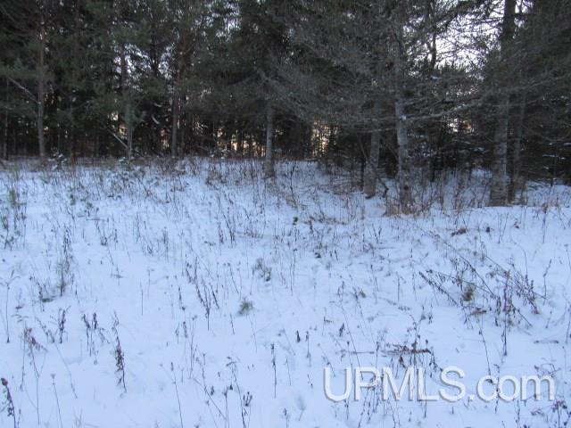 Tbd Tbd Tower Perkins, MI 49872 - Photo 14 of 22