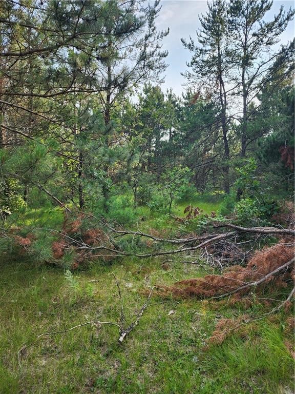 5500 County Highway Sparta, WI 54656 - Photo 29 of 39
