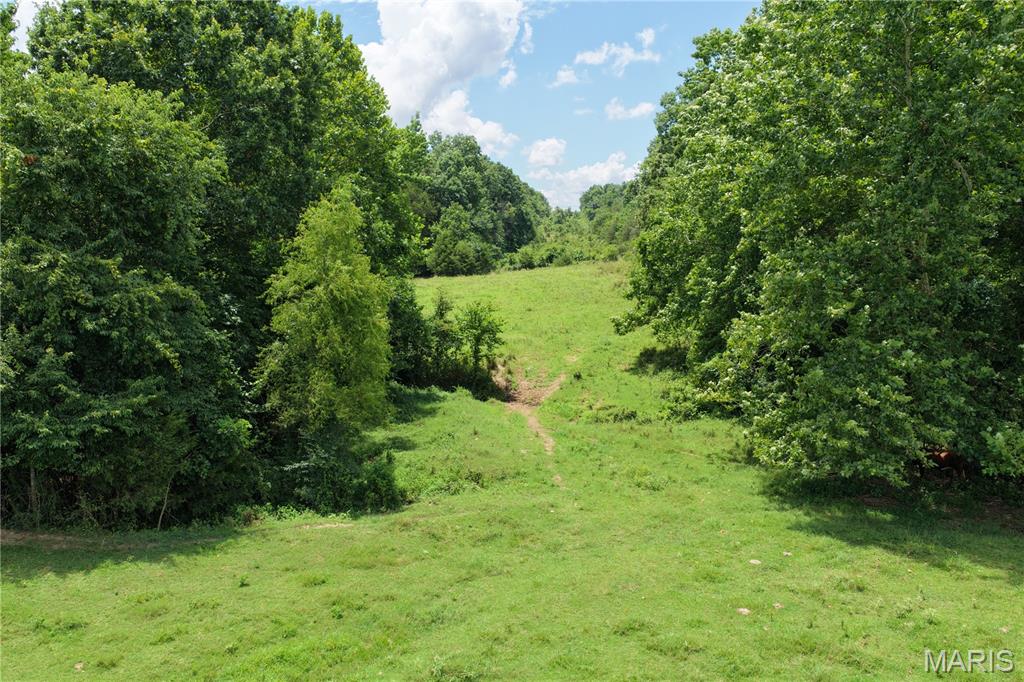 Tbd Fairview Road Imboden, AR 72434 - Photo 12 of 24