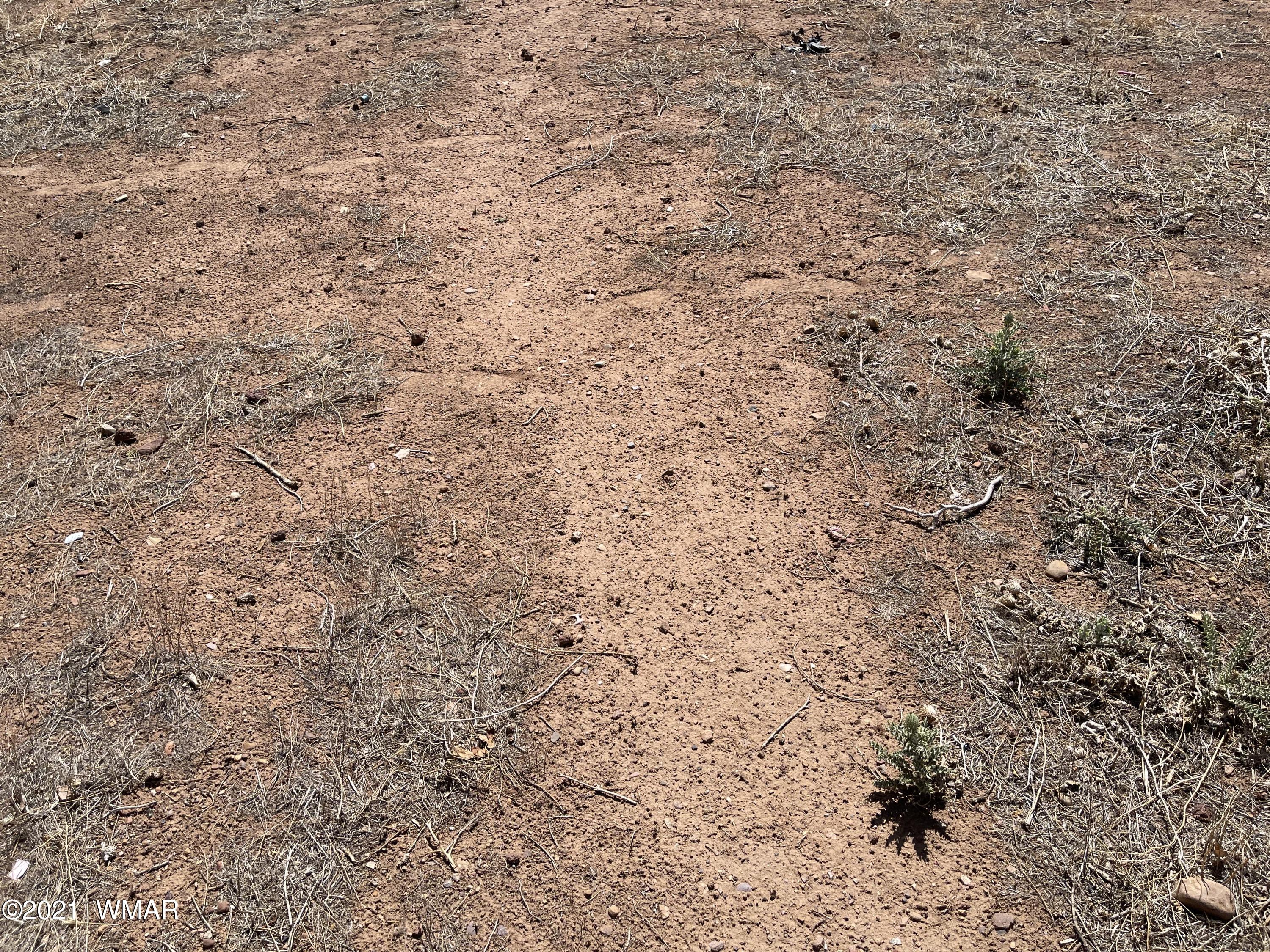 539 South 6th W Street Snowflake, AZ 85937 - Photo 12 of 47