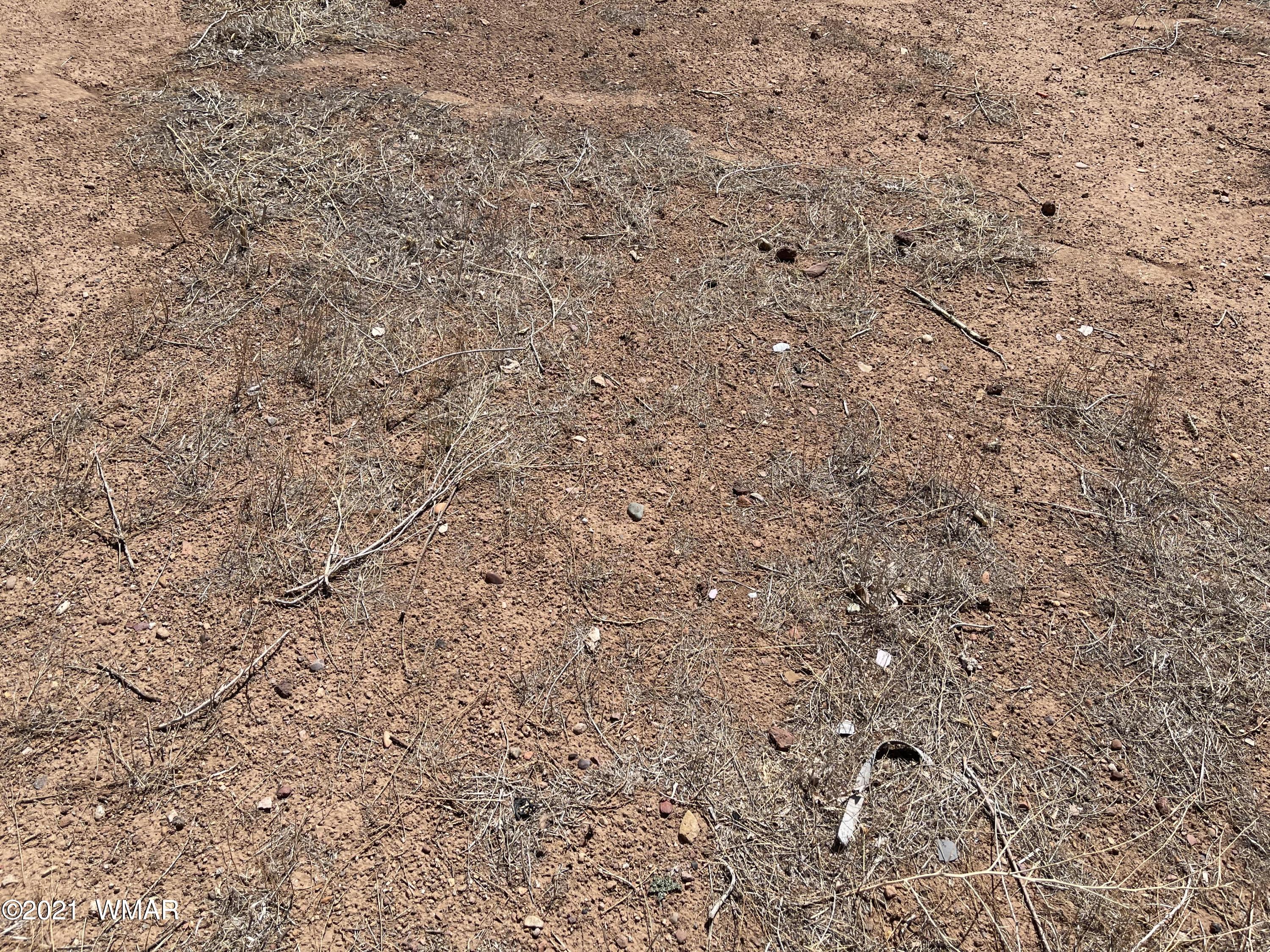 539 South 6th W Street Snowflake, AZ 85937 - Photo 13 of 47