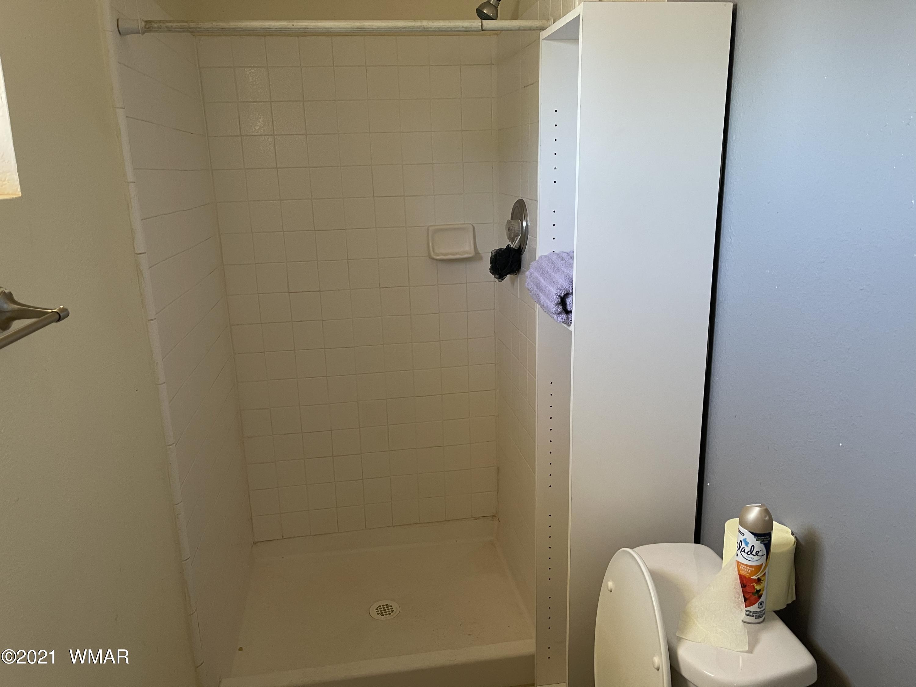 539 South 6th W Street Snowflake, AZ 85937 - Photo 25 of 47