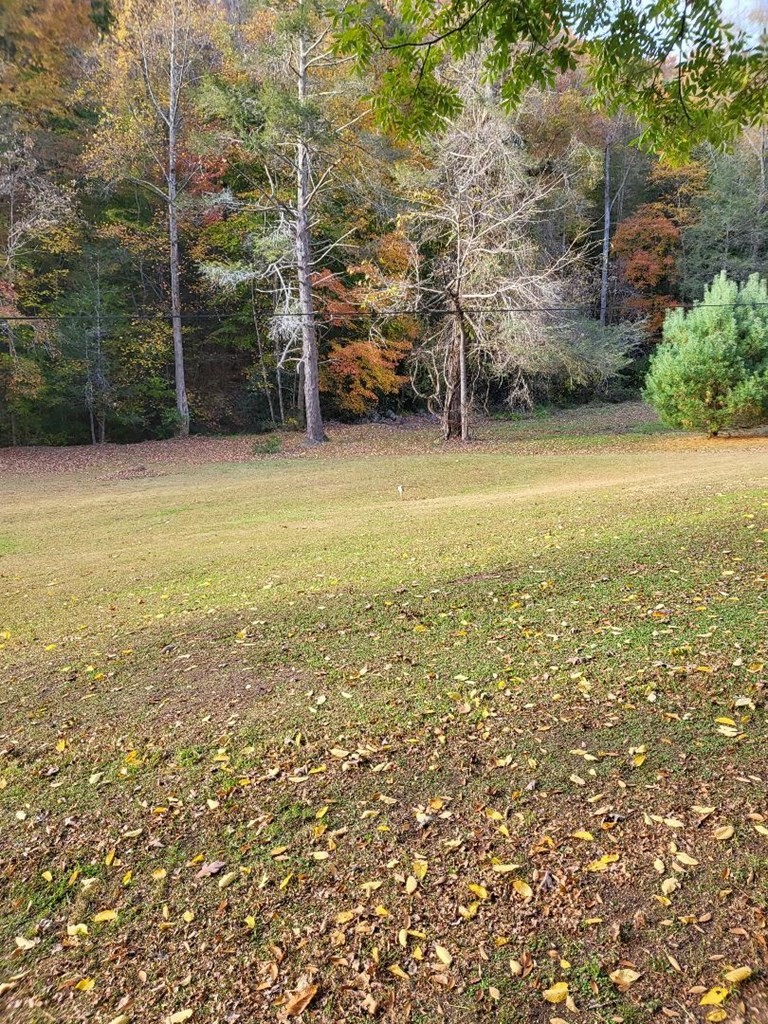 125 Honey Lane Del Rio, TN 37727 - Photo 10 of 31