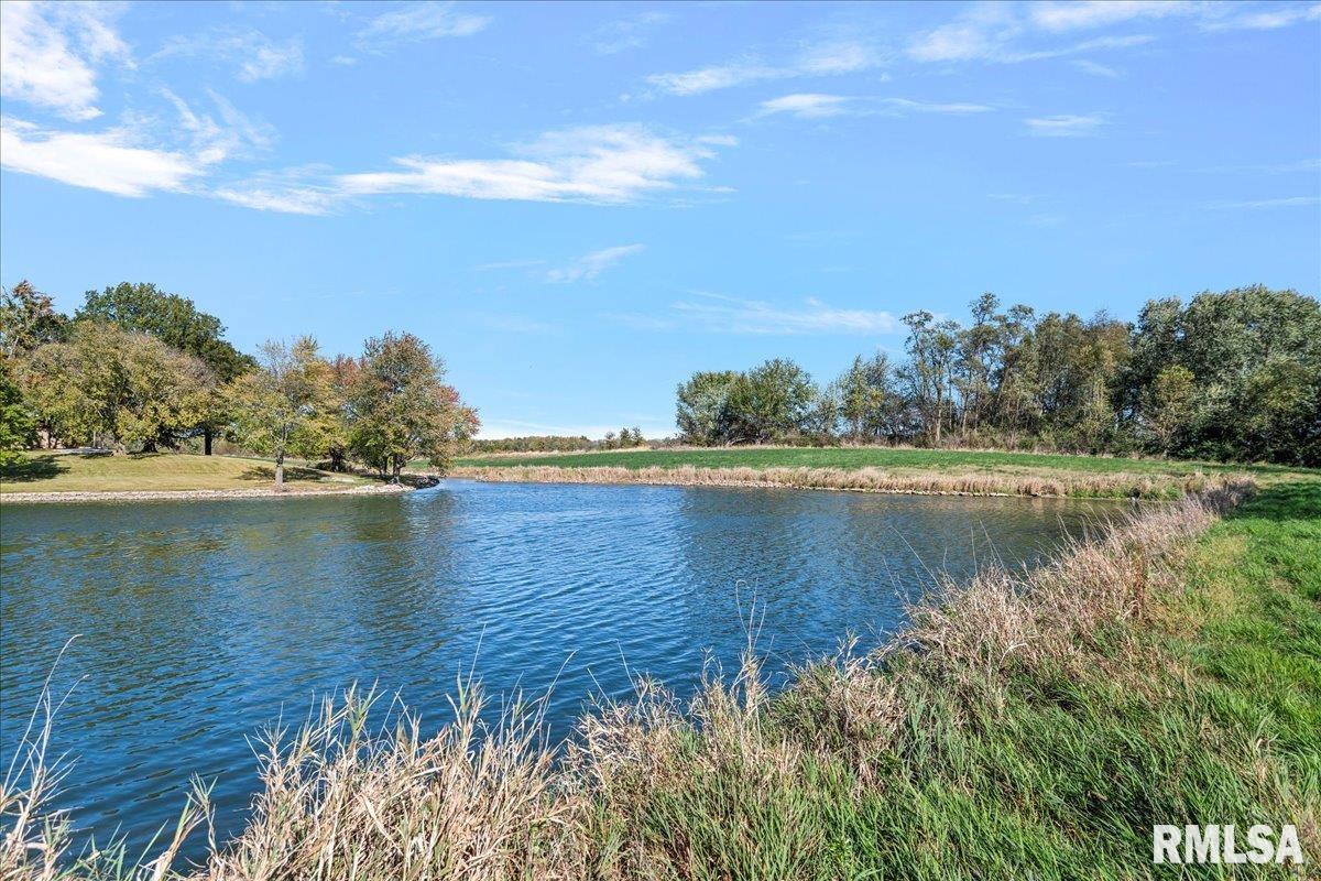 1896 Winch Road Springfield, IL 62707 - Photo 59 of 67