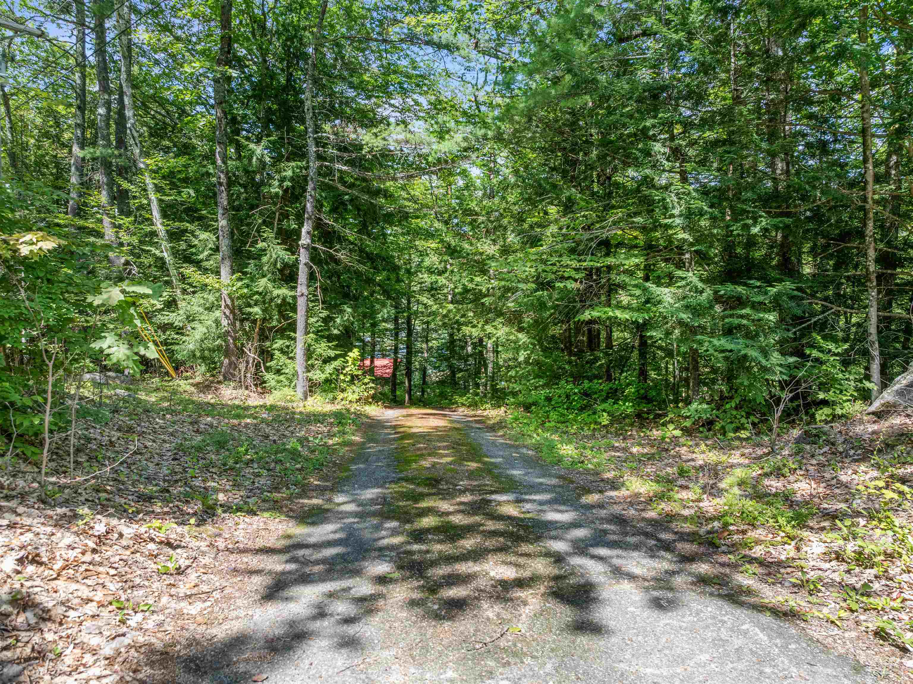393 Chemung Road Meredith, NH 03253 - Photo 37 of 50 Gallery Image 37