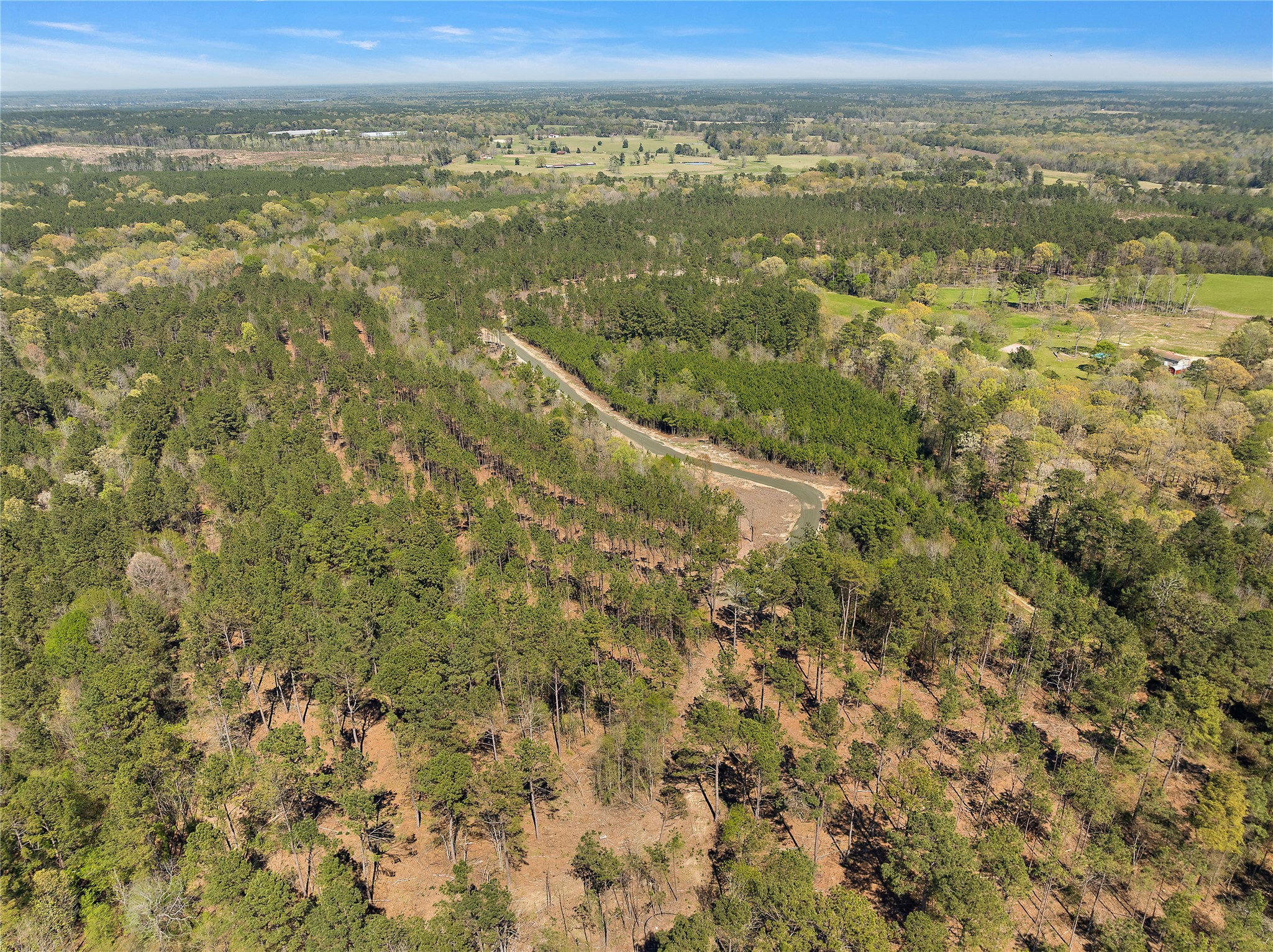 434 Piney Creek Estates Road Timpson, TX 75975 - Photo 4 of 6 a view of a city with ocean view