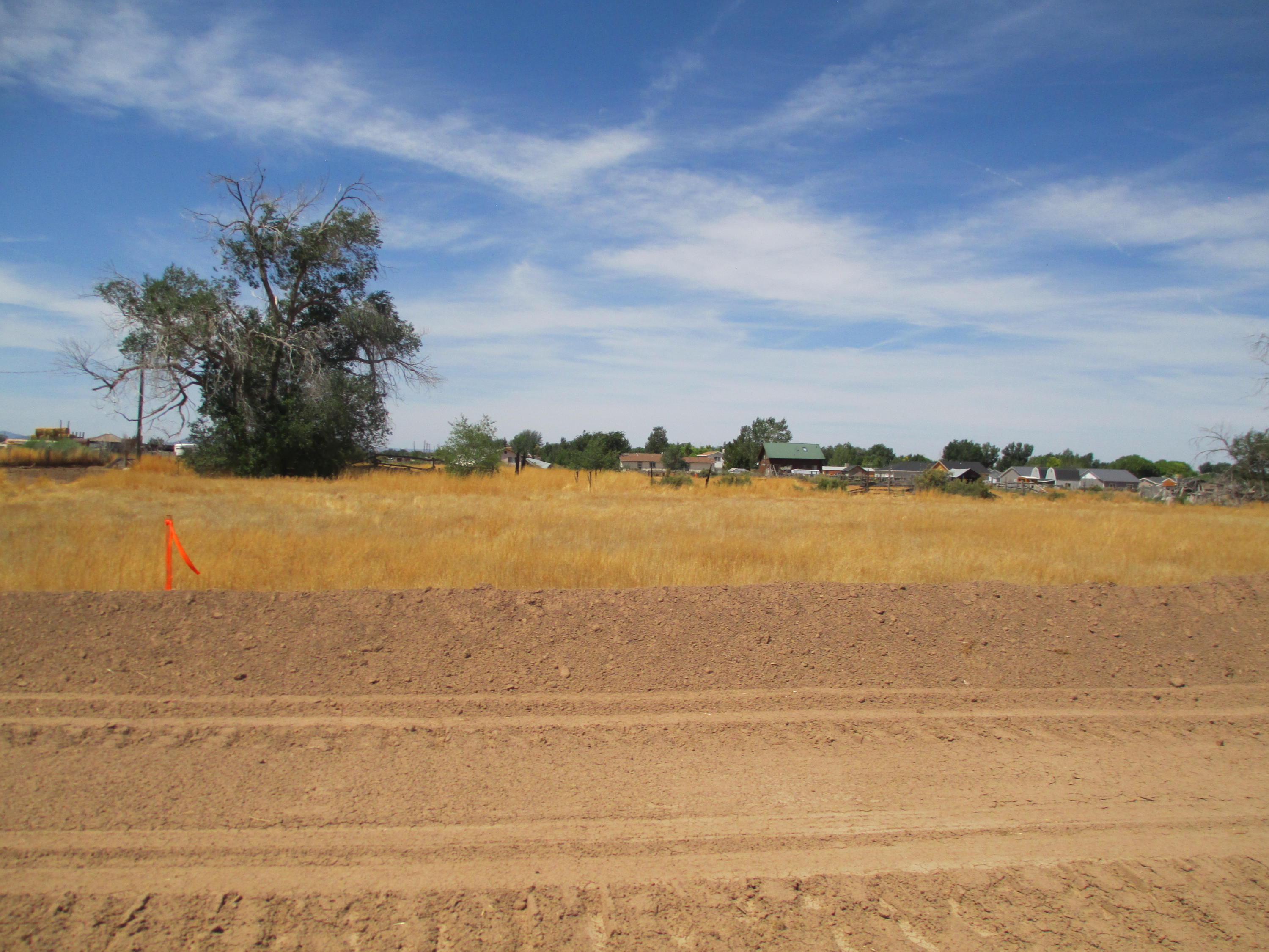 Lot View
