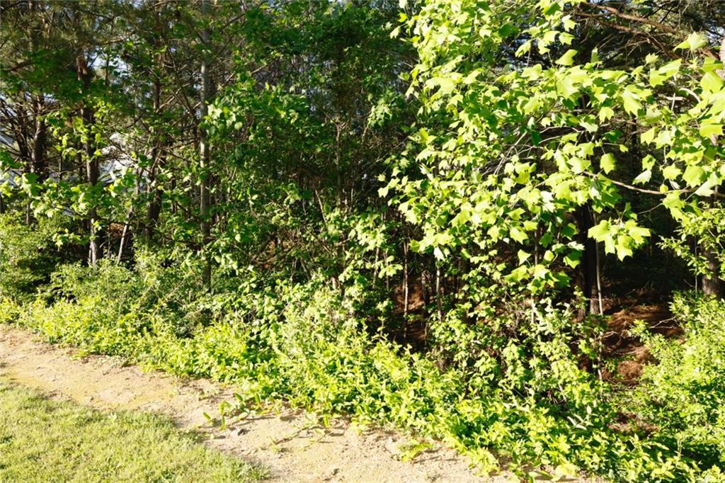 0 Hollyhock Lane Dallas, GA 30132 - Photo 2 of 6