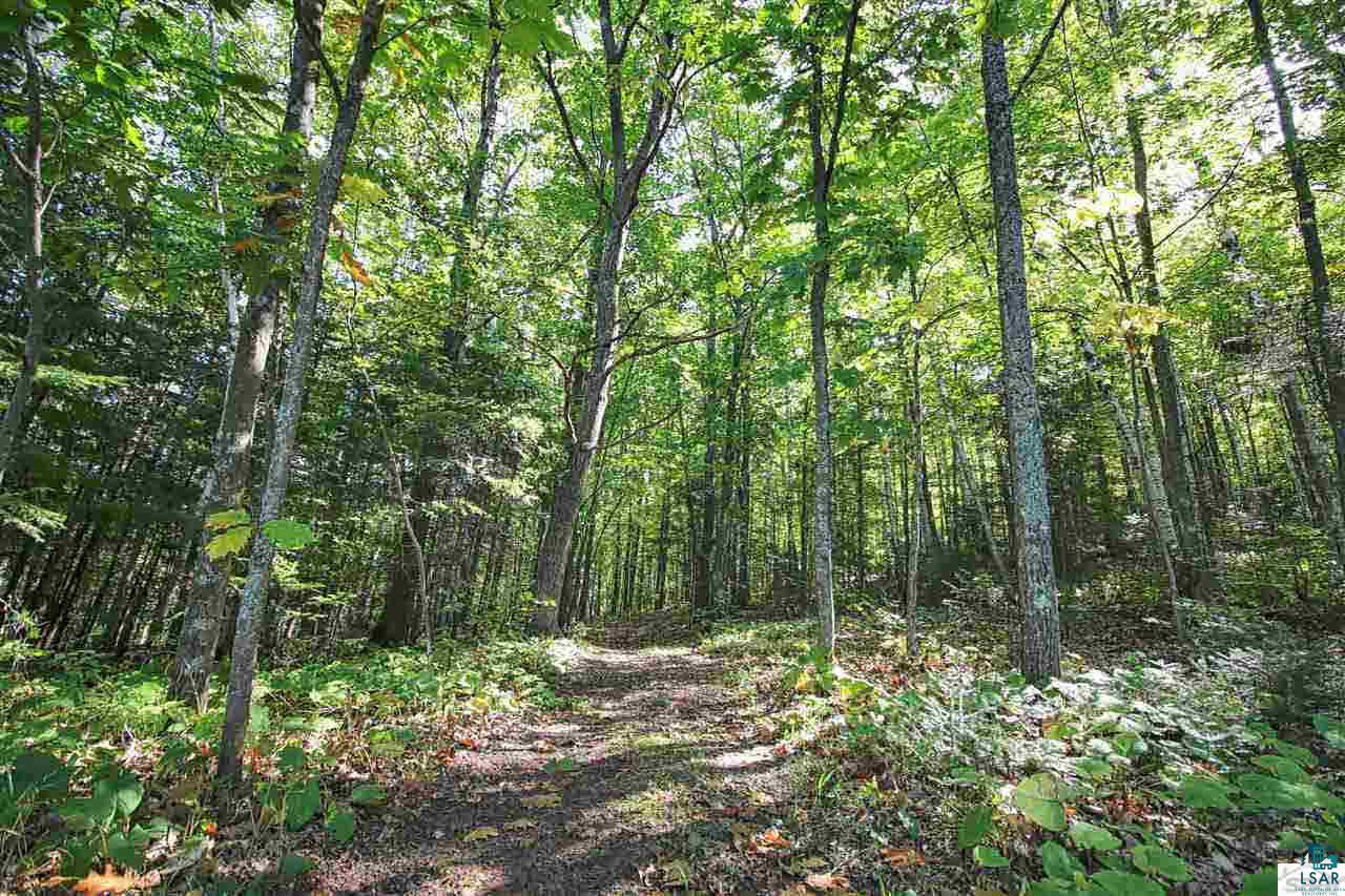 6344 Allen Road Foxboro, WI 54836 - Photo 25 of 25