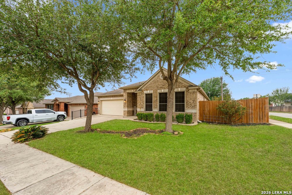 141 Springtree Gate Cibolo, TX 78108 - Photo 36 of 36