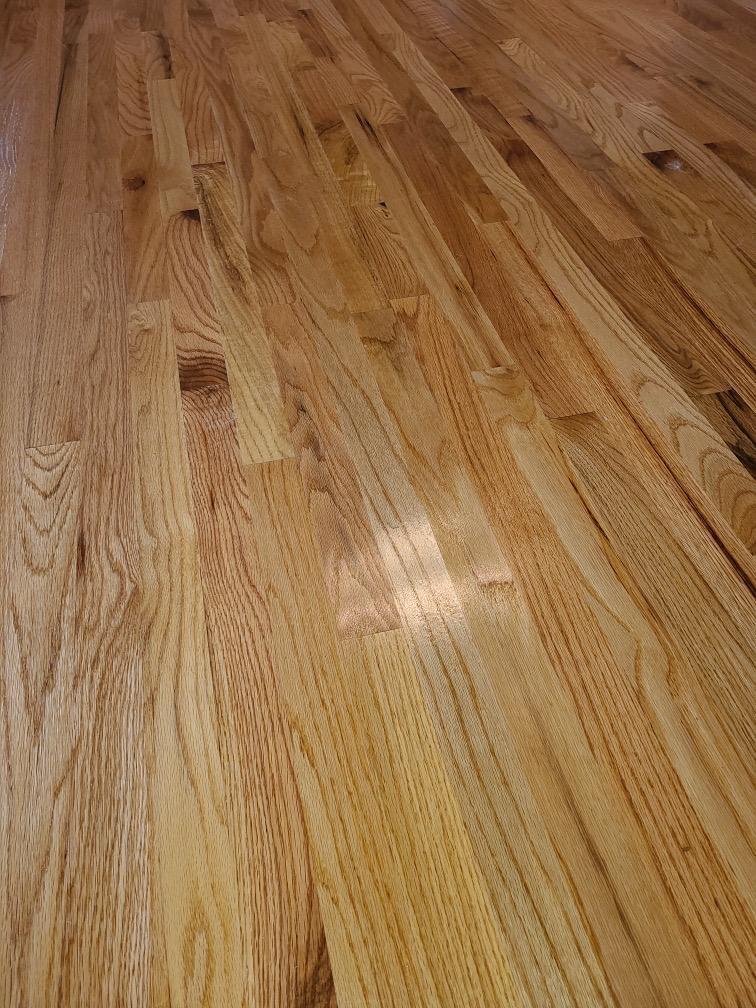 866 Lee Drive Ringgold, GA 30736 - Photo 7 of 23 Lee floors