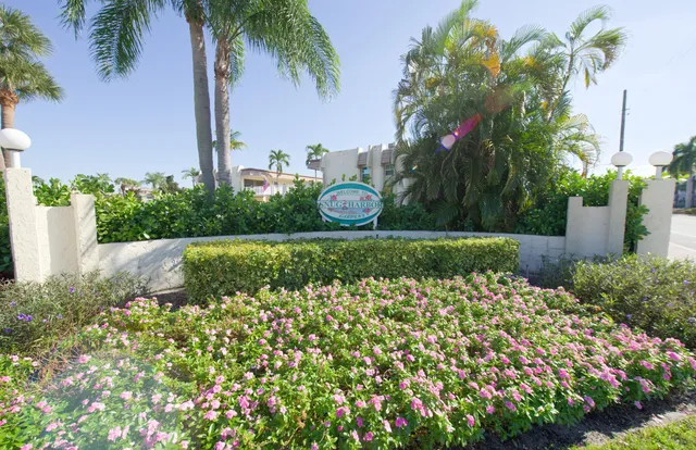 a view of a garden with a fountain