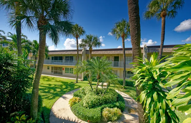 a couple of flower plants in front of house