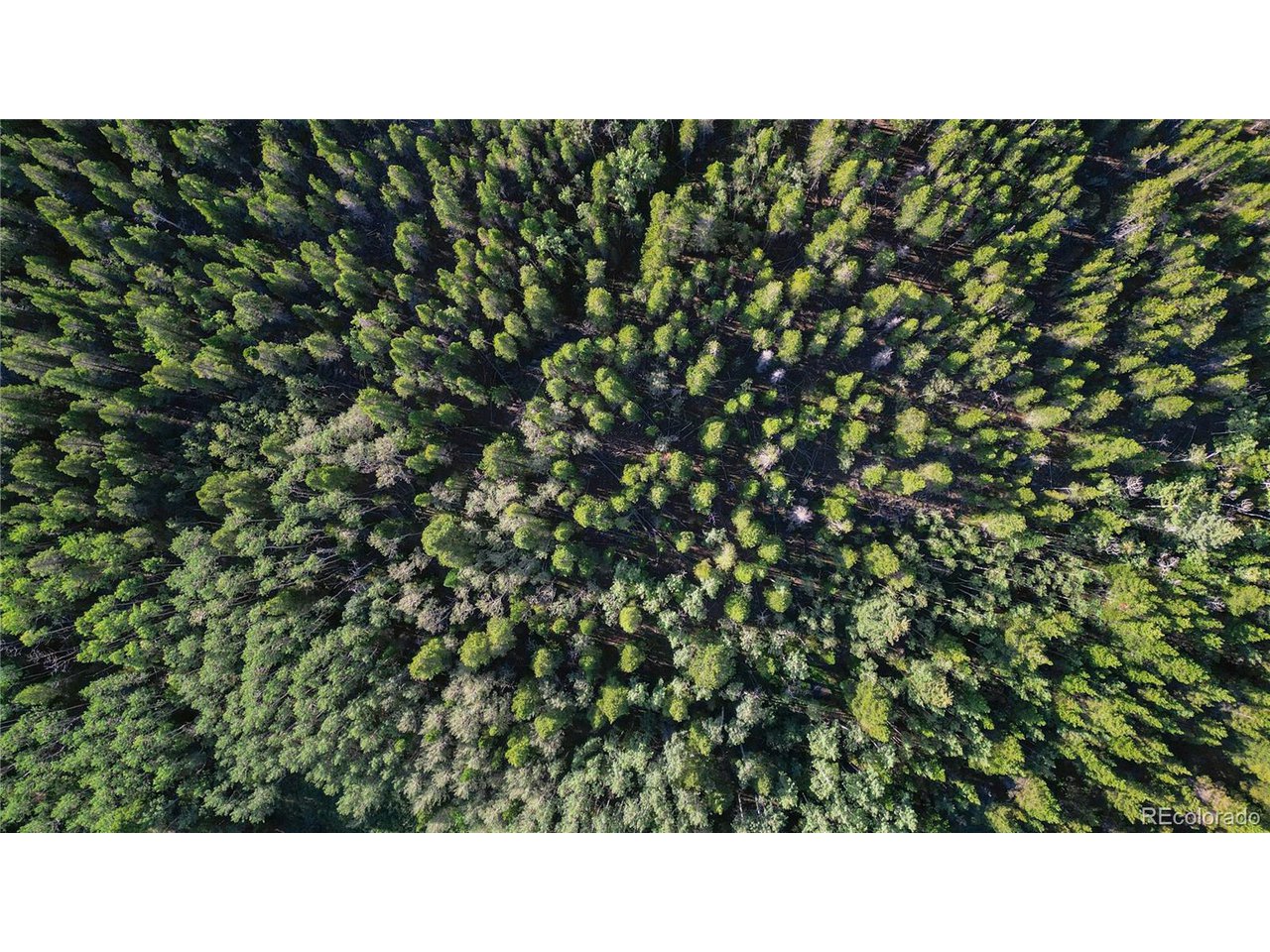 Roosevelt Ridge Black Hawk, CO 80422 - Photo 11 of 33