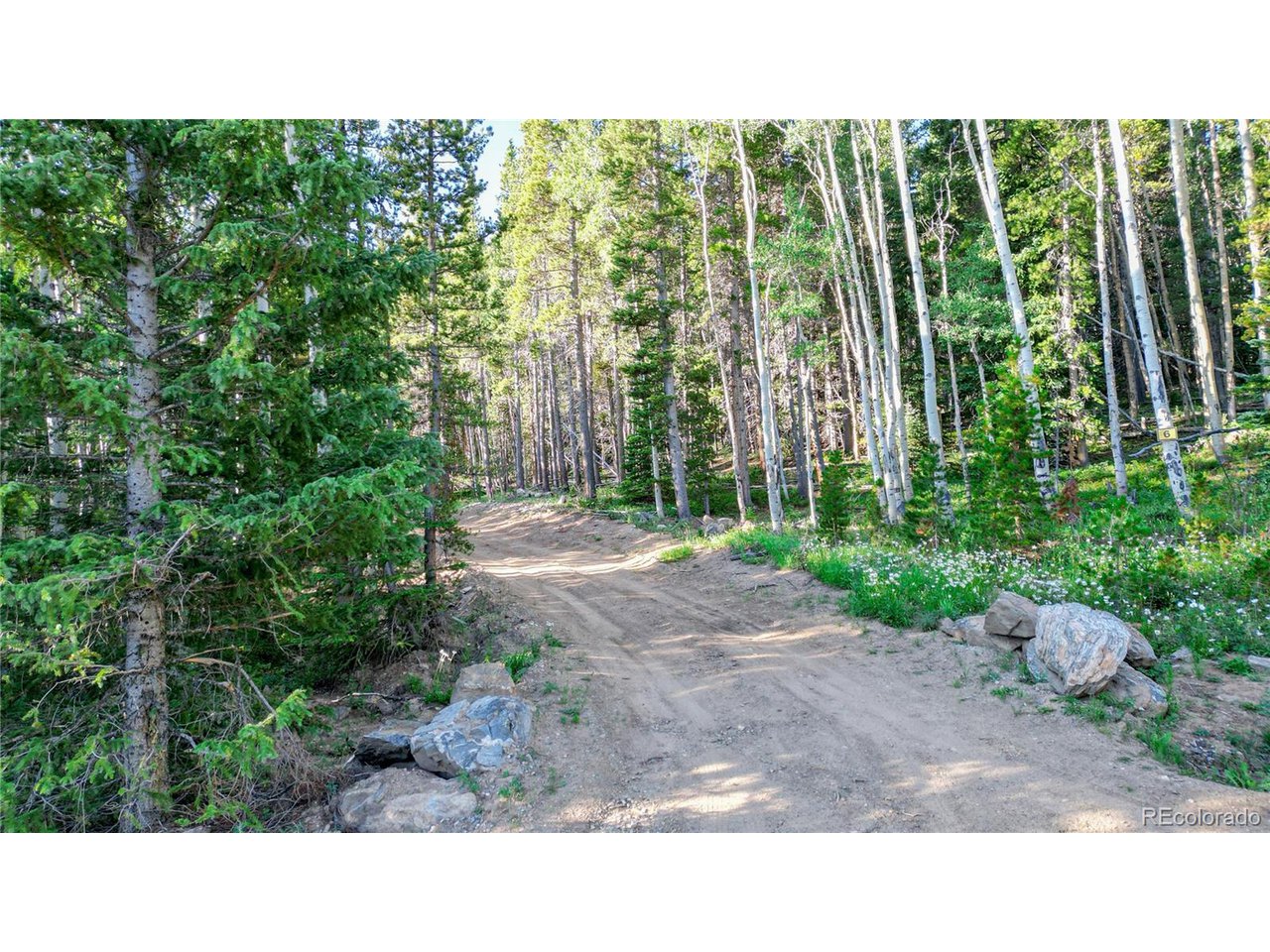 Roosevelt Ridge Black Hawk, CO 80422 - Photo 8 of 33