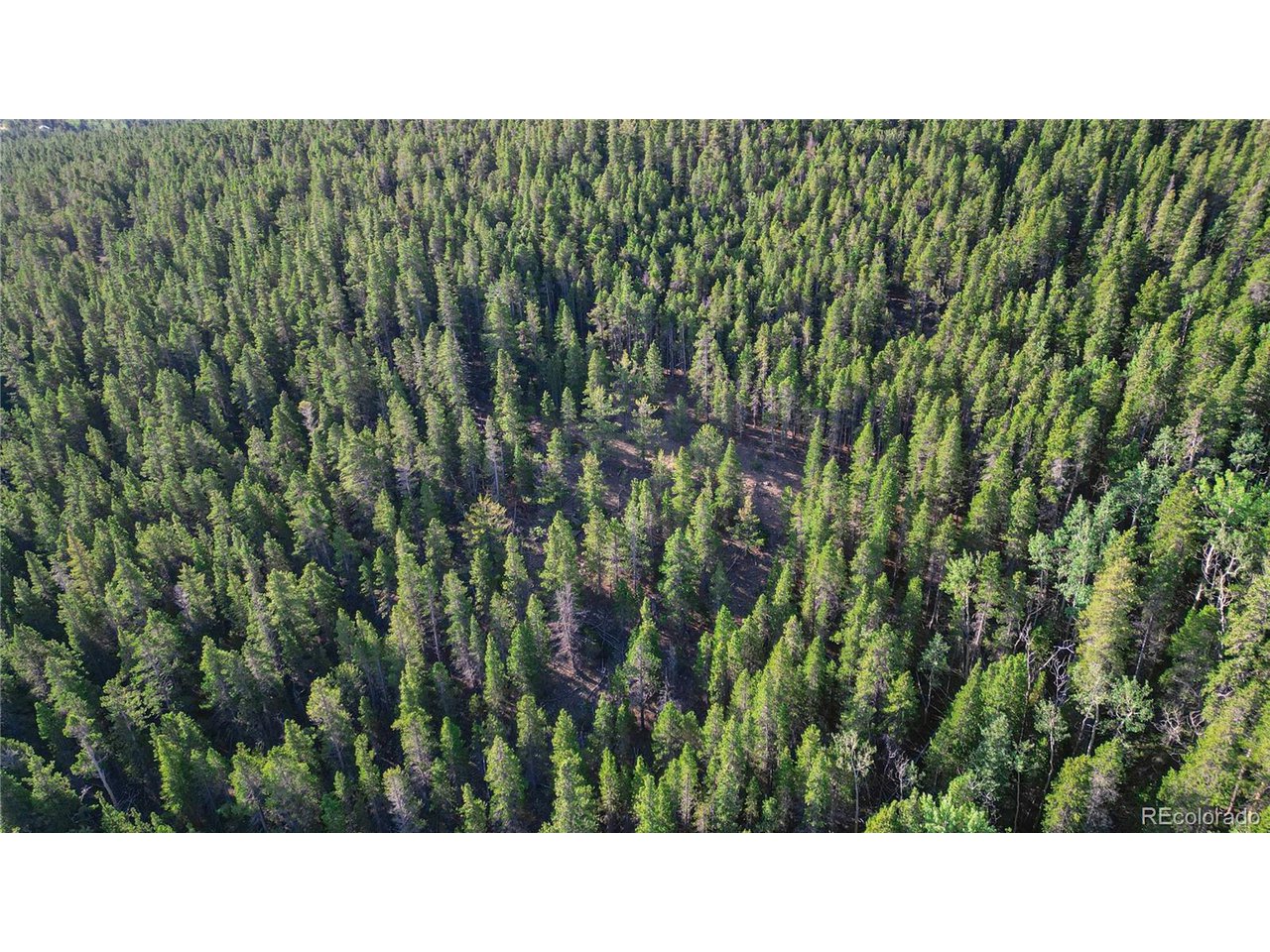 Roosevelt Ridge Black Hawk, CO 80422 - Photo 10 of 33