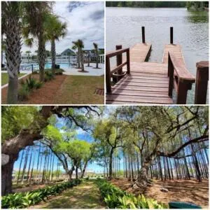 $372,828 | 214 Threaded Fern Street, Summerville, SC 29485