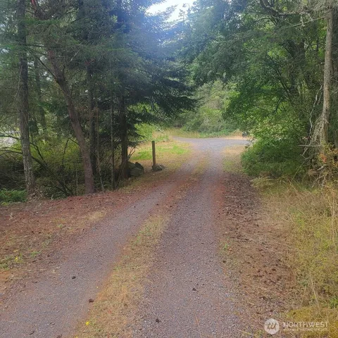 a view of a dirt road with large trees