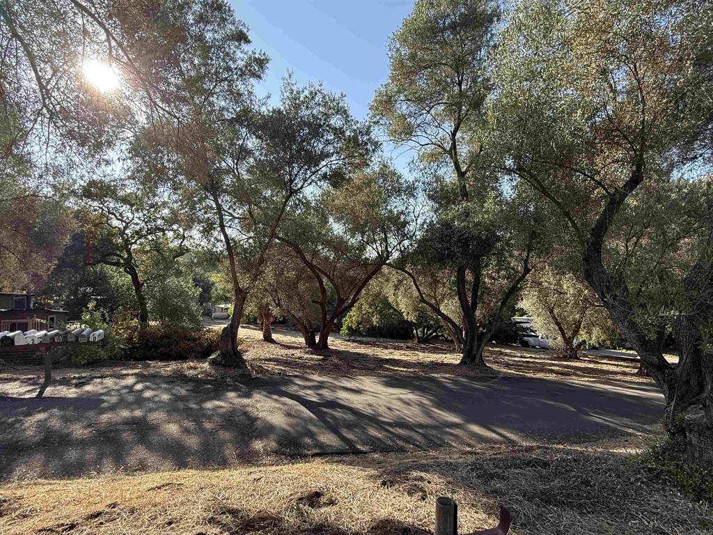 13838 Campo Road, Unit 8 Jamul, CA 91935 - Photo 11 of 21