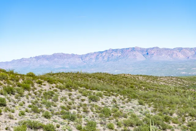 a view of a lush green hillside and houses