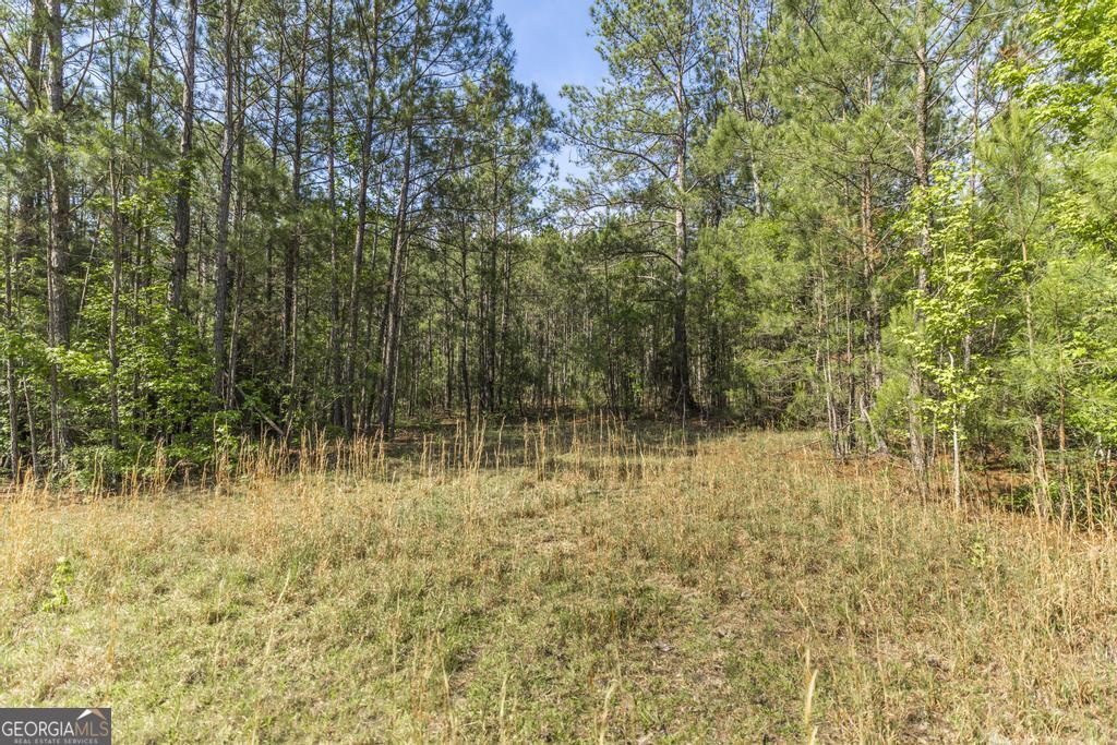 3270 Hamlin Road Lizella, GA 31052 - Photo 48 of 59
