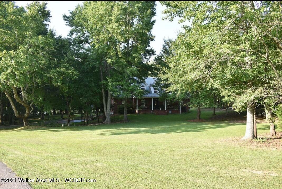 5371 Pine Road Remlap, AL 35133 - Photo 32 of 33 Gallery Image 32