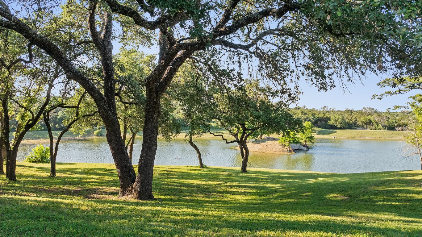 101 Rolling Hills Road Blanco, TX 78606 - Photo 17 of 38 a view of a trees in a big yard with palm trees
