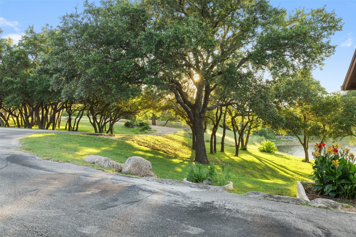 101 Rolling Hills Road Blanco, TX 78606 - Photo 35 of 38 a view of a yard with palm trees