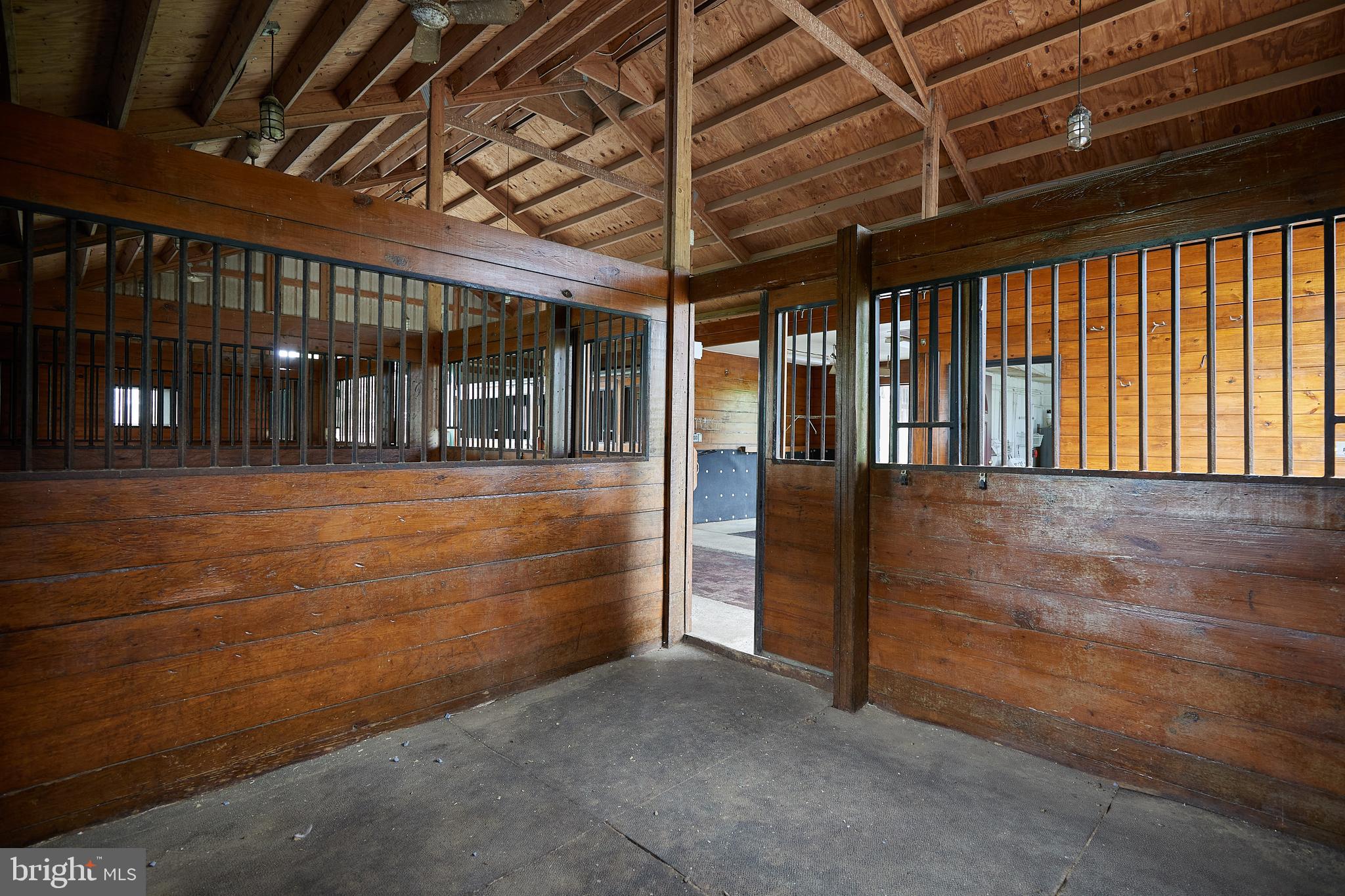 18410 Beallsville Road Poolesville, MD 20837 - Photo 48 of 55 12 x 12 with matting