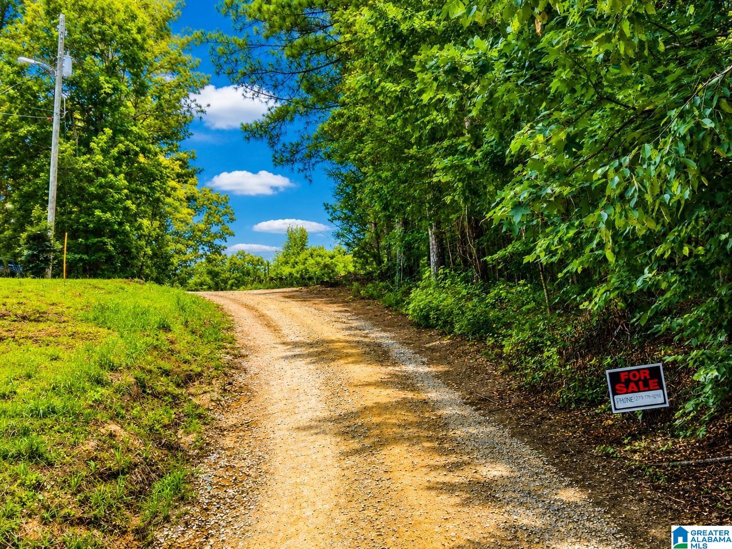 Off Of Penny Lane, Unit 54 Odenville, AL 35120 - Photo 12 of 25