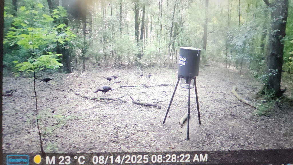 0 Cottonhill Road Eufaula, AL 36027 - Photo 16 of 33 Gallery Image 16
