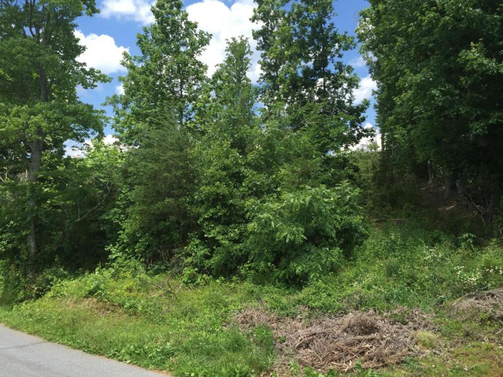 Tbd Muddy Branch Road Elizabethton, TN 37643 - Photo 1 of 4 Photo 1