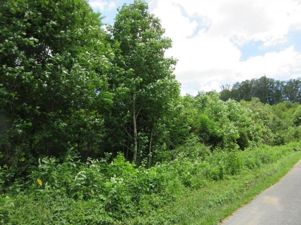 Tbd Muddy Branch Road Elizabethton, TN 37643 - Photo 3 of 4 Photo 3