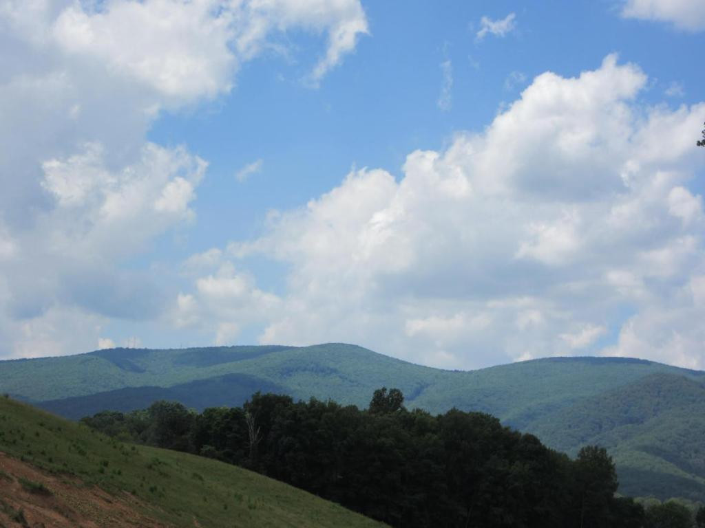 Tbd Muddy Branch Road Elizabethton, TN 37643 - Photo 4 of 4 View