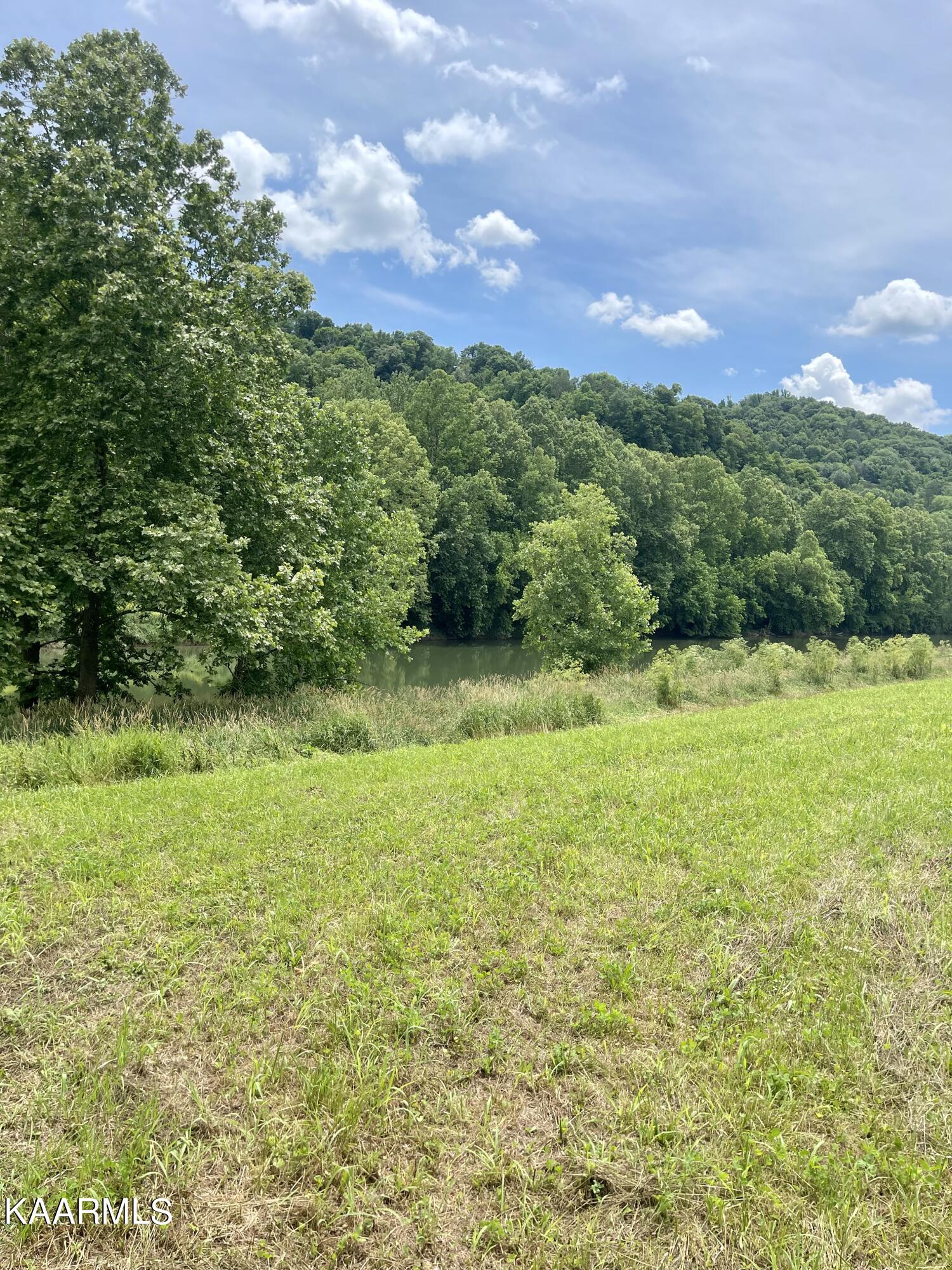 Tbd Tbd Alder Road Kyles Ford, TN 37765 - Photo 12 of 15 1ED182A4-EE22-4ADD-B0CB-22C94F6DD78E