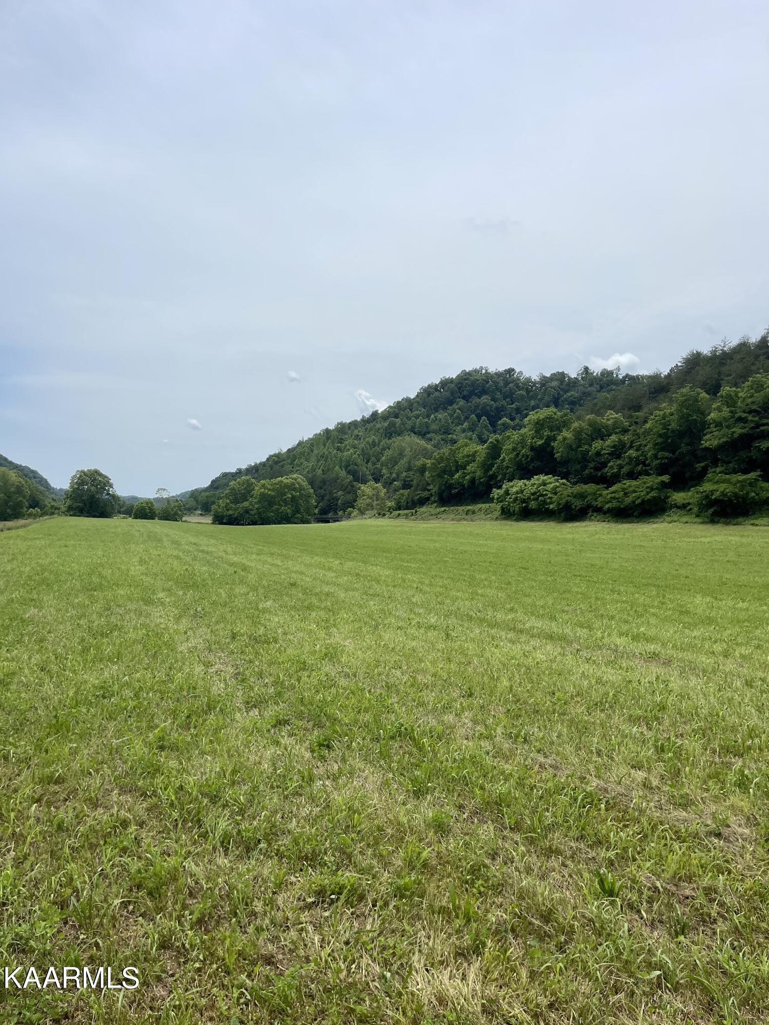 Tbd Tbd Alder Road Kyles Ford, TN 37765 - Photo 13 of 15 BA70C9DC-CA54-4E08-9E14-3A6E5A8833EE