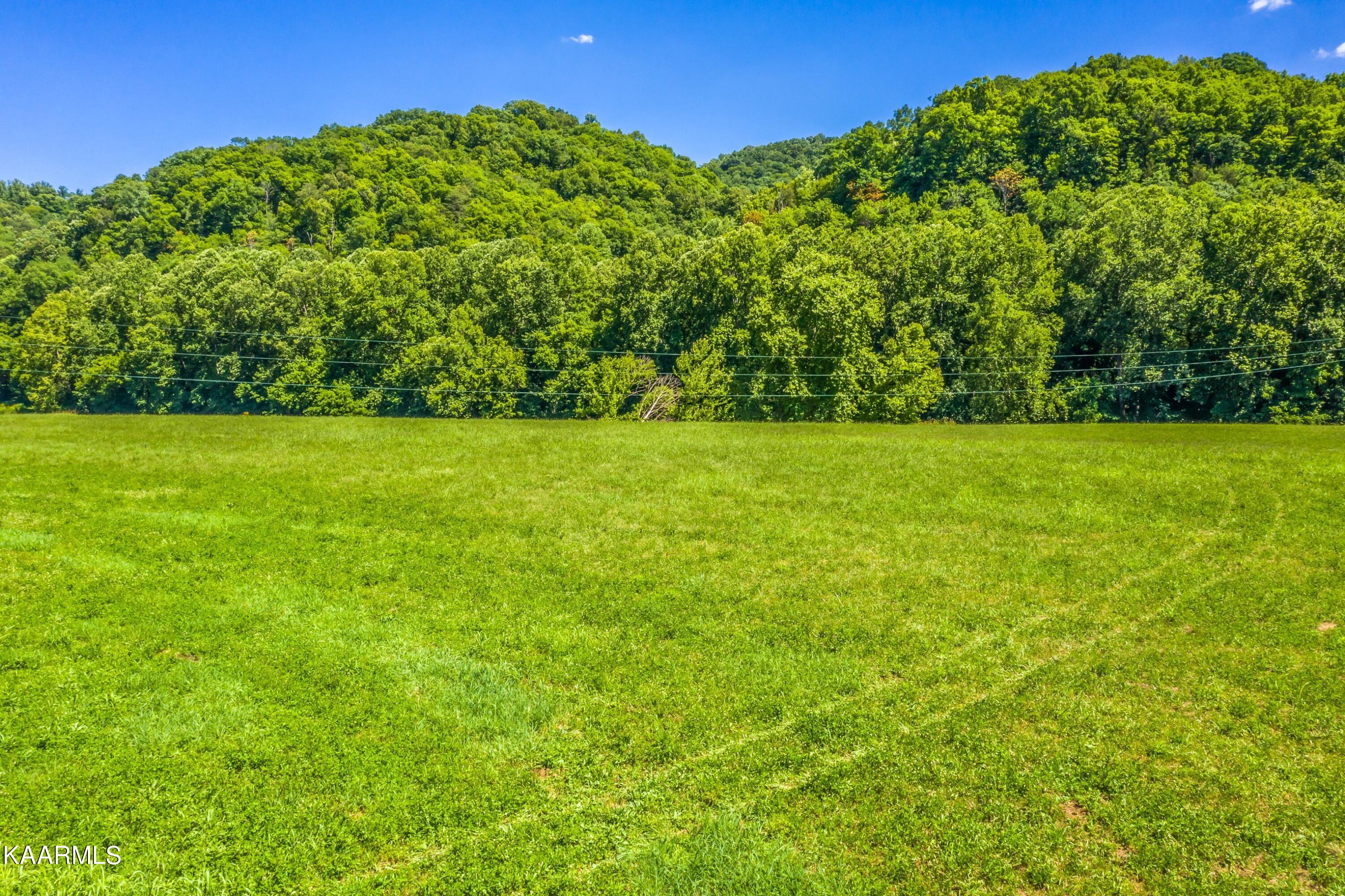 Tbd Tbd Alder Road Kyles Ford, TN 37765 - Photo 5 of 15 Exterior-9.jpg-SMALL