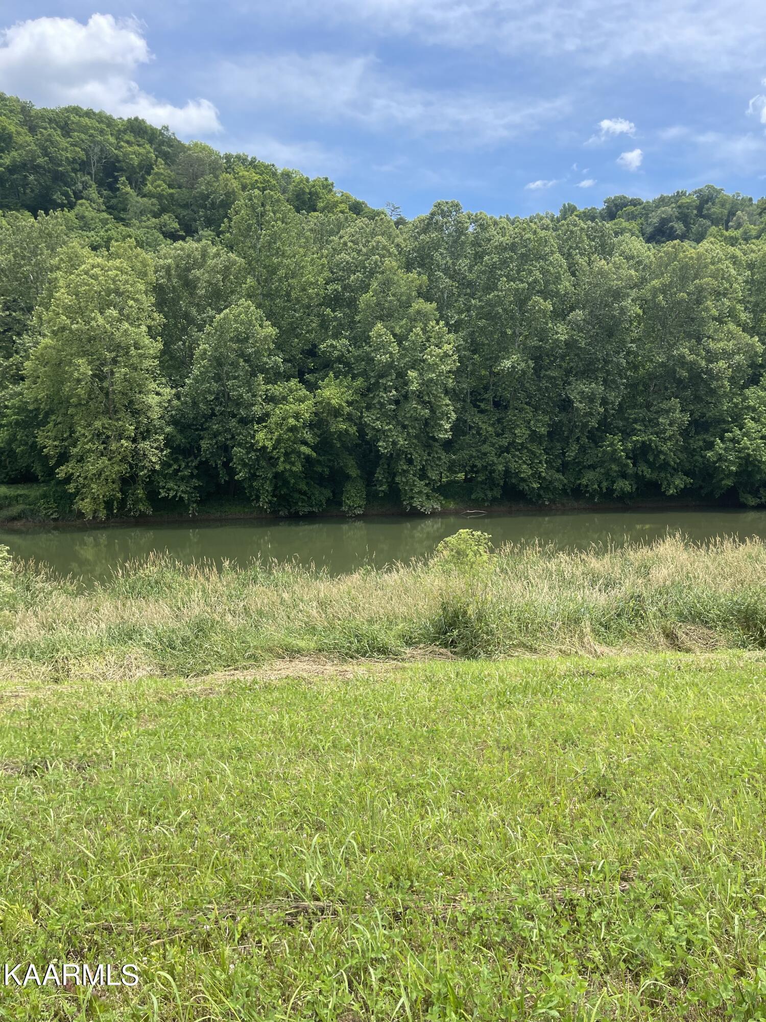 Tbd Tbd Alder Road Kyles Ford, TN 37765 - Photo 9 of 15 86F2F300-DDCB-451B-B1E4-C78CA871A864