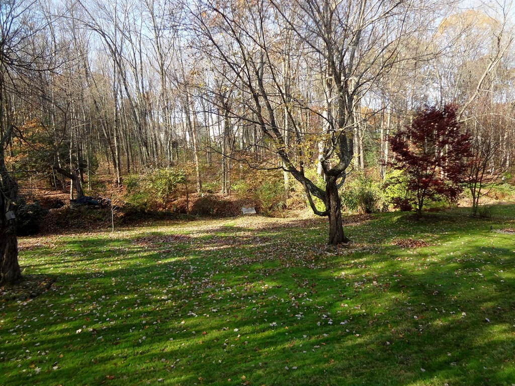 59 Westbrook Road South Hadley, MA 01075 - Photo 3 of 19 Gallery Image 3