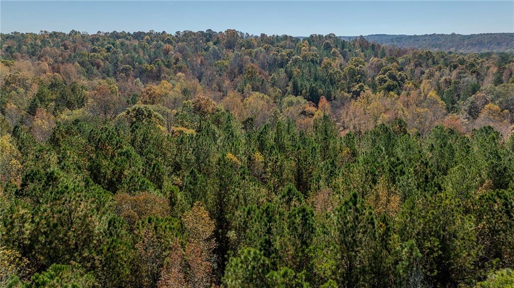 0 Jones Ferry Road, Unit LOT 1 Palmetto, GA 30268 - Photo 3 of 5 a view of a forest with a mountain in the background