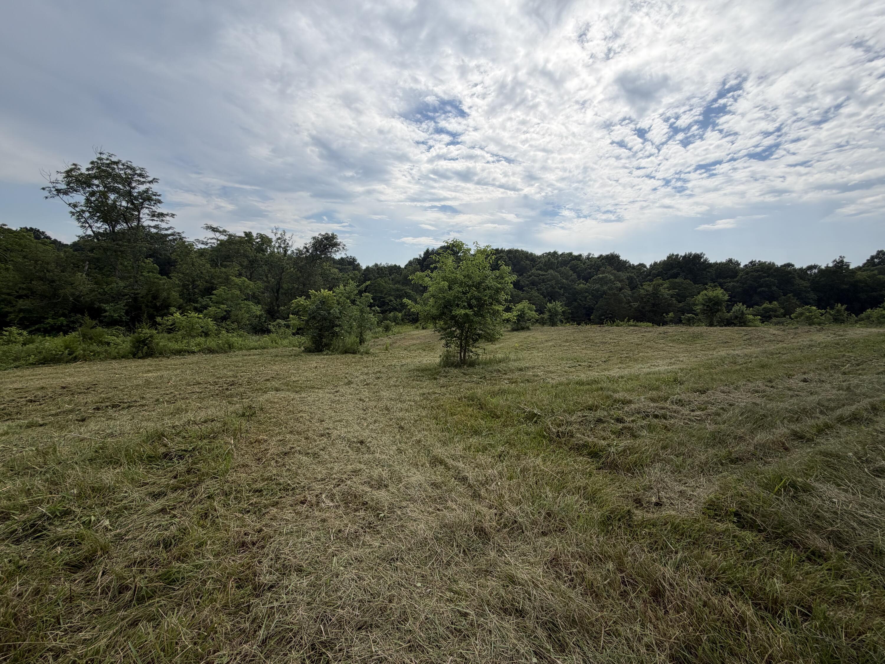 0 Swope Natlee Road Corinth, KY 41010 - Photo 1 of 16 Picture from the road
