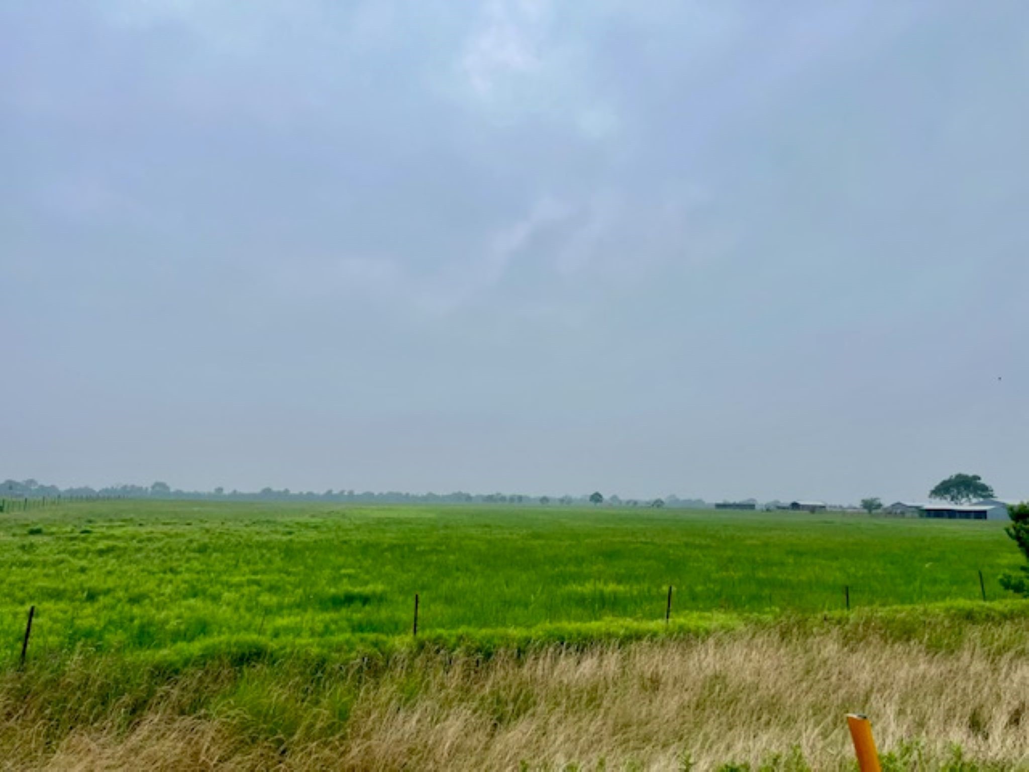 3575 Fm 1094 Road Sealy, TX 77474 - Photo 11 of 17 a view of outdoor space with deck and yard