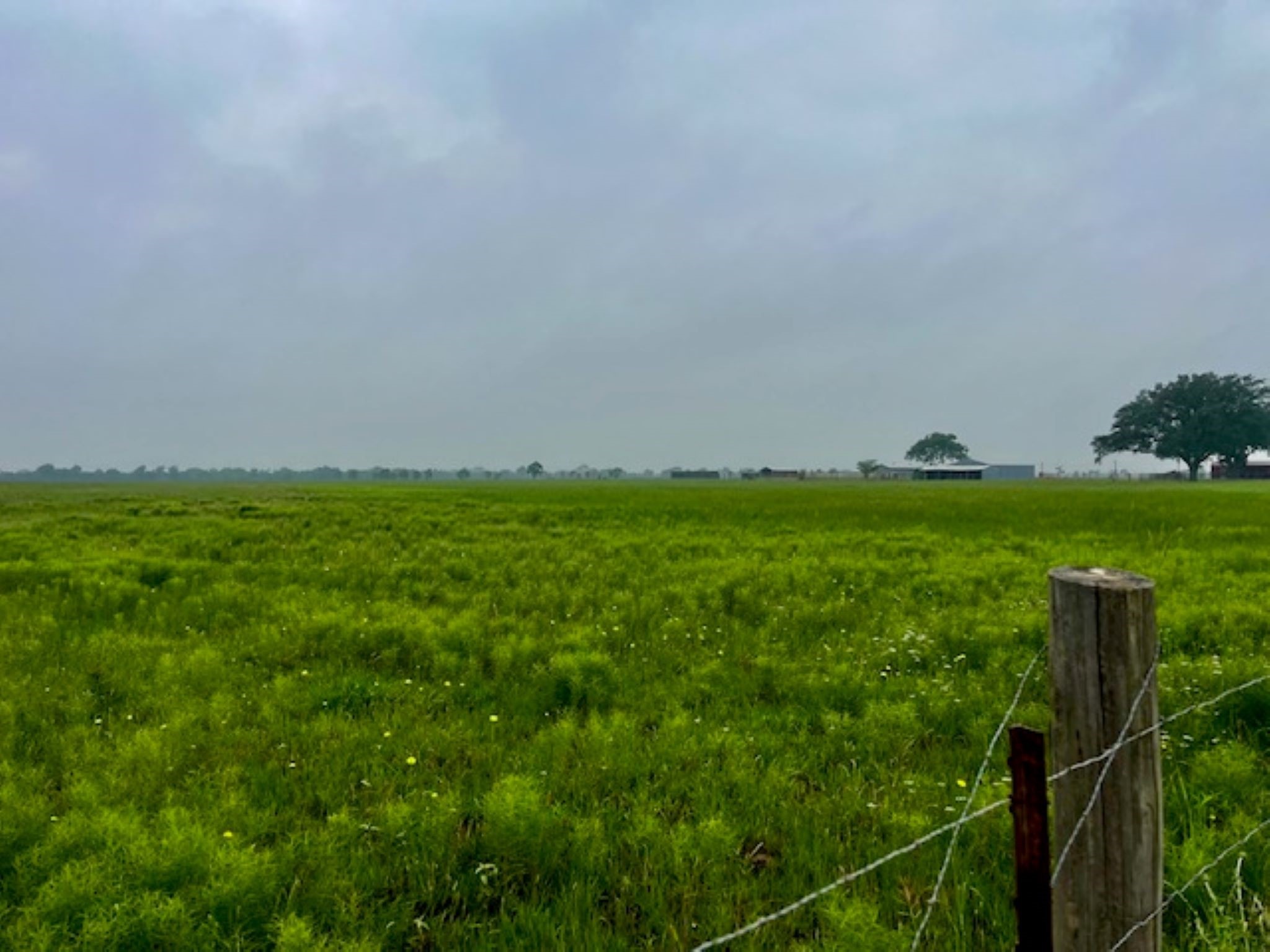 3575 Fm 1094 Road Sealy, TX 77474 - Photo 13 of 17 a view of yard with green space